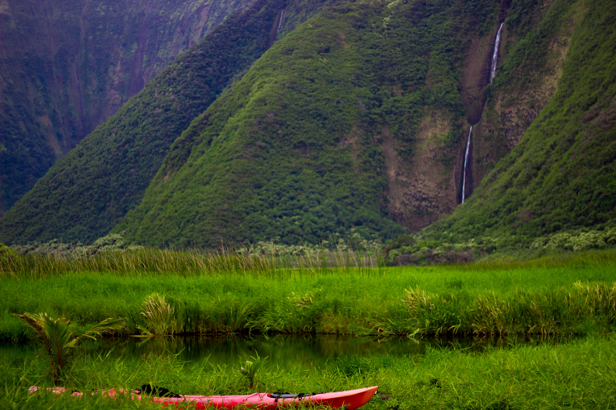 The Big Island: Everything You Need to Know to Hike to Waimanu Valley