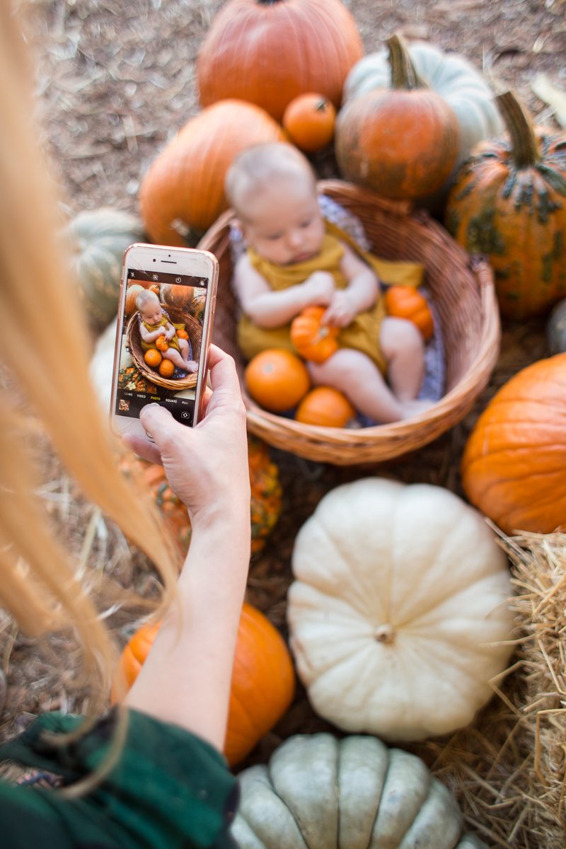 pumpkin patch baby photoshoot